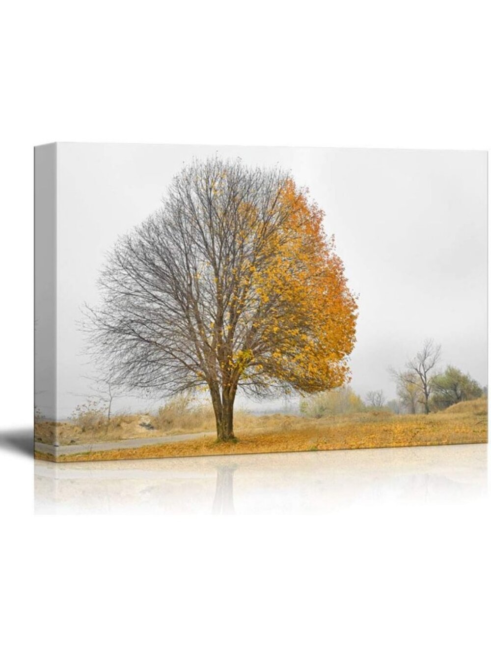 Modern Canvas Wall Art - Fall Tree with Yellow Leaves - Ready to Hang 24x36